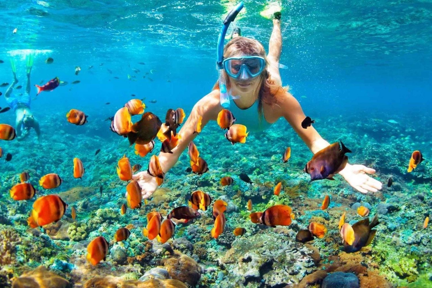 Vanuit Ras Al Khaima: Dolfijnen kijken en Jabal Harim Safari