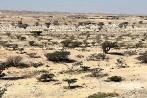 Salalah: Pustynne safari o zachodzie słońca - Rub Al Khali - Pusta Dzielnica