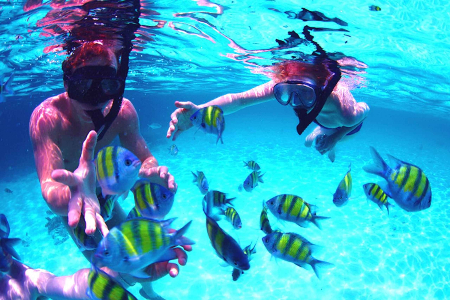 Ze Zjednoczonych Emiratów Arabskich: Musandam Khasab - wycieczka z lunchem i obserwacją delfinów