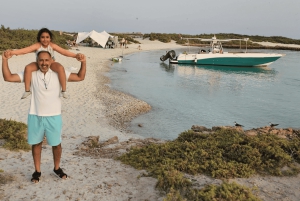 Heldagsopplevelse på Damaniyat-øya med strandgrill