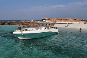 Heldagsopplevelse på Damaniyat-øya med strandgrill