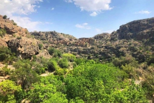 Z Muscat: całodniowa wycieczka do Nizwa Jabal Akhdar Birkat Al Moz