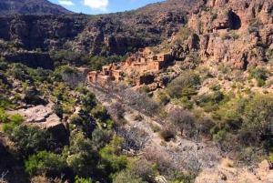 Z Muscat: całodniowa wycieczka do Nizwa Jabal Akhdar Birkat Al Moz