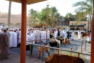 Całodniowa wycieczka w Omanie: Czarujące forty Nizwa i Jabreen