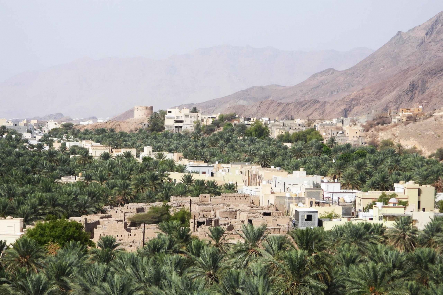 całodniowa wycieczka do suku Birkat Almouz i Nizwa oraz do fortu i Falaj Daris.