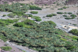 ガイド付きマウンテントアー：サイク高原とワディ・ムアイディンを通る下り坂