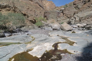 ガイド付きマウンテントアー：サイク高原とワディ・ムアイディンを通る下り坂