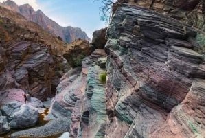 ガイド付きマウンテントアー：サイク高原とワディ・ムアイディンを通る下り坂