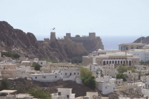 Hajar Mountains: Private Day Trip from Muscat
