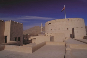 Hajar Mountains: Private Day Trip from Muscat