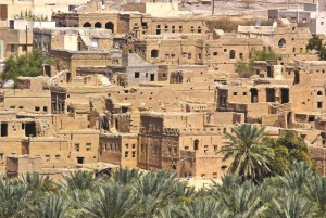 Hajar Mountains: Private Day Trip from Muscat