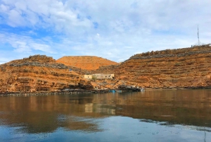 Khasab: Dolphin Watching Day Tour with Snorkeling & Lunch