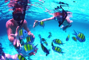 Khasab: Obserwowanie delfinów, nurkowanie ze sprzętem i lunch