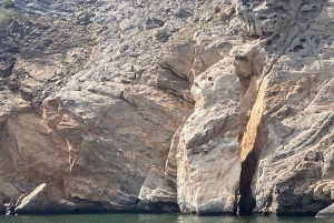 Khasab: Obserwowanie delfinów, nurkowanie ze sprzętem i lunch