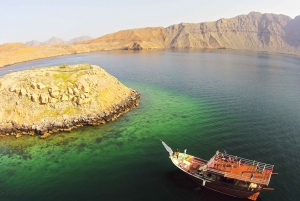 Khasab: Half-Day Dhow Cruise with Dolphin Watching