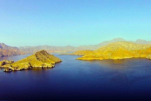 Khasab: Half-Day Dhow Cruise with Dolphin Watching