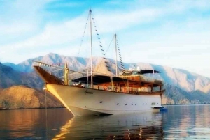 Khasab: Udendørs camping med guidet krydstogt i dhow