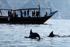 Khasab: Udendørs camping med guidet krydstogt i dhow