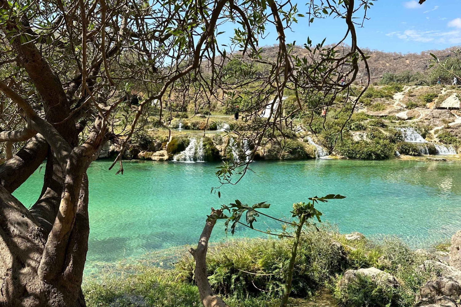 マウンテンサファリ