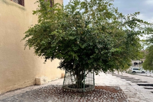 Muscat: avventura in 4x4 attraverso Jebel Akhdar e Nizwa