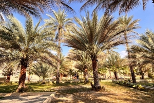 Muscat: avventura in 4x4 attraverso Jebel Akhdar e Nizwa