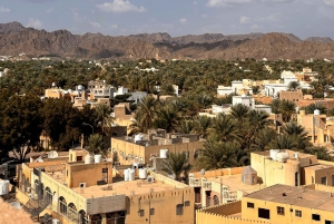 Muscat: avventura in 4x4 attraverso Jebel Akhdar e Nizwa