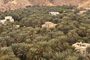 Muscat: avventura in 4x4 attraverso Jebel Akhdar e Nizwa