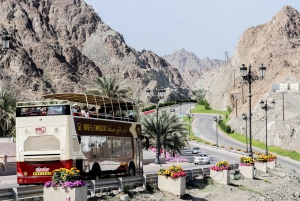 Muscat: Big Bus Hop-On Hop-Off Sightseeing Tour