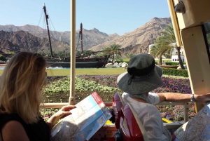 Muscat: Big Bus Hop-On Hop-Off Sightseeing Tour
