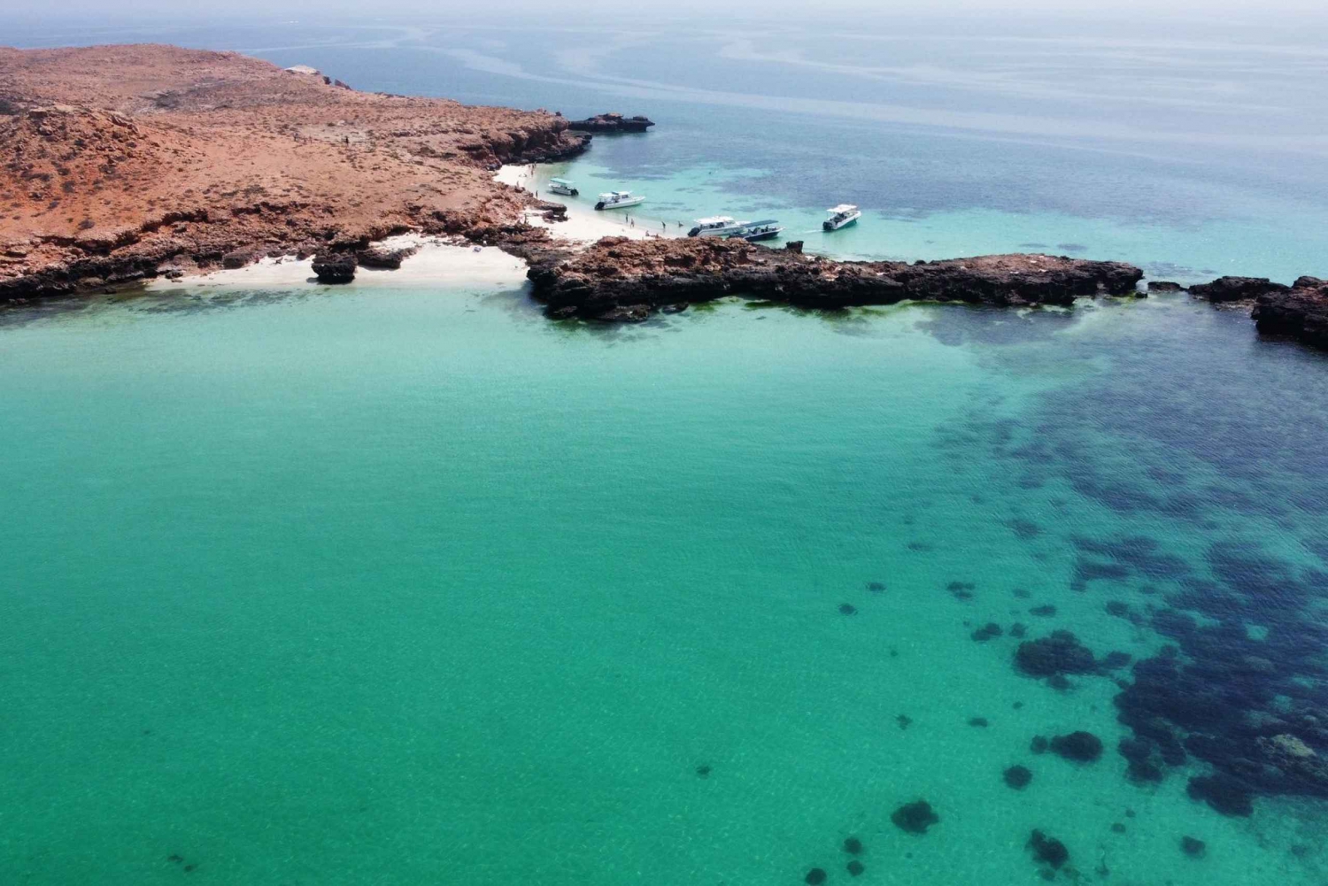 Mascate: Excursão de mergulho com snorkel nas Ilhas Daymaniat com bebidas