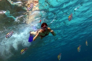 Maskat: Schnorcheltour zu den Daymaniyat-Inseln + BBQ-Mittagessen