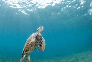 Maskat: Schnorcheltour zu den Daymaniyat-Inseln + BBQ-Mittagessen