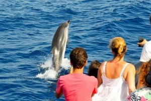 Muscat: Dolphin Watching and Snorkeling Tour