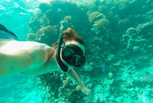 Maskat: Rejs statkiem z przekąskami i obserwacją delfinów