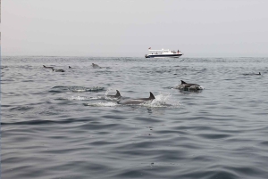 Maskat: Rejs statkiem z przekąskami i obserwacją delfinów