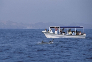 Maskat: Rejs statkiem z przekąskami i obserwacją delfinów