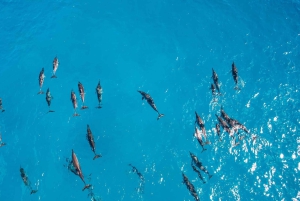 Maskat: Rejs statkiem z przekąskami i obserwacją delfinów