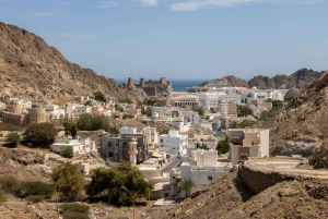 Muscat: Heldagstur i byen