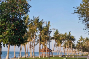 Omã: passeio privado pela cidade de Mascate com transporte de ida e volta