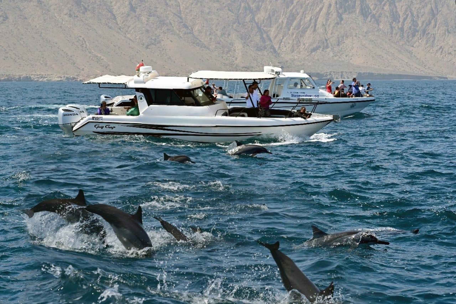 Muscat: Majestic Dolphins – privat havtur