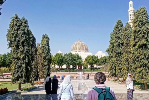 Muscat: Night Tour 4 Hours