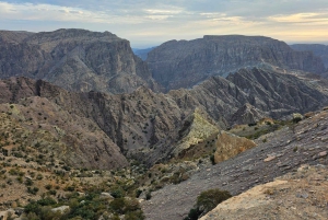 Muscat: Nizwa og Al Jabal Al Akhdar Privat tur med frokost