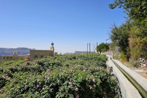 Muscat: Nizwa og Al Jabal Al Akhdar Privat tur med frokost