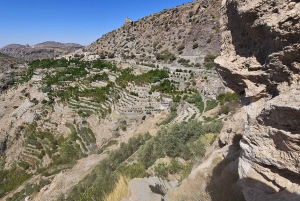 Muscat: Nizwa og Al Jabal Al Akhdar Privat tur med frokost