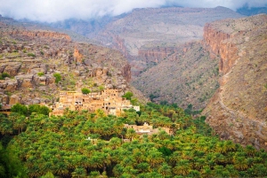 Muscat: Nizwa-fortet og den gamle landsbyen Al Hamra – heldagstur