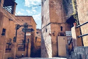 Muscat: Nizwa-fortet og den gamle landsbyen Al Hamra – heldagstur