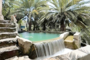 Muscat: Nizwa-fortet og den gamle landsbyen Al Hamra – heldagstur