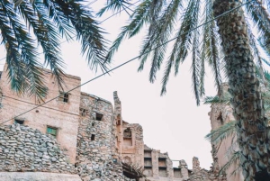 Muscat: Nizwa-fortet og den gamle landsbyen Al Hamra – heldagstur