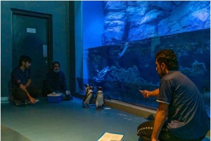 Muscat : billet d'entrée à l'aquarium d'Oman