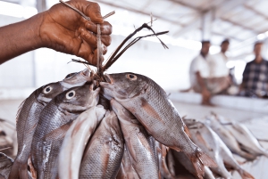 Muscat wonderen: Luxe rondreis met aanpasbare route